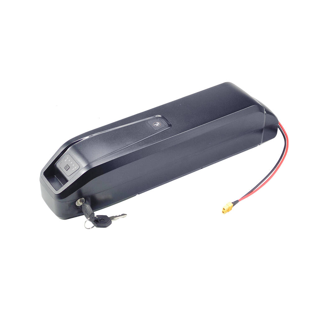 New S20 Pro 48V 13Ah 20Ah Hail - огляд і ціна Ebike Battery 48V 20Ah Hailong